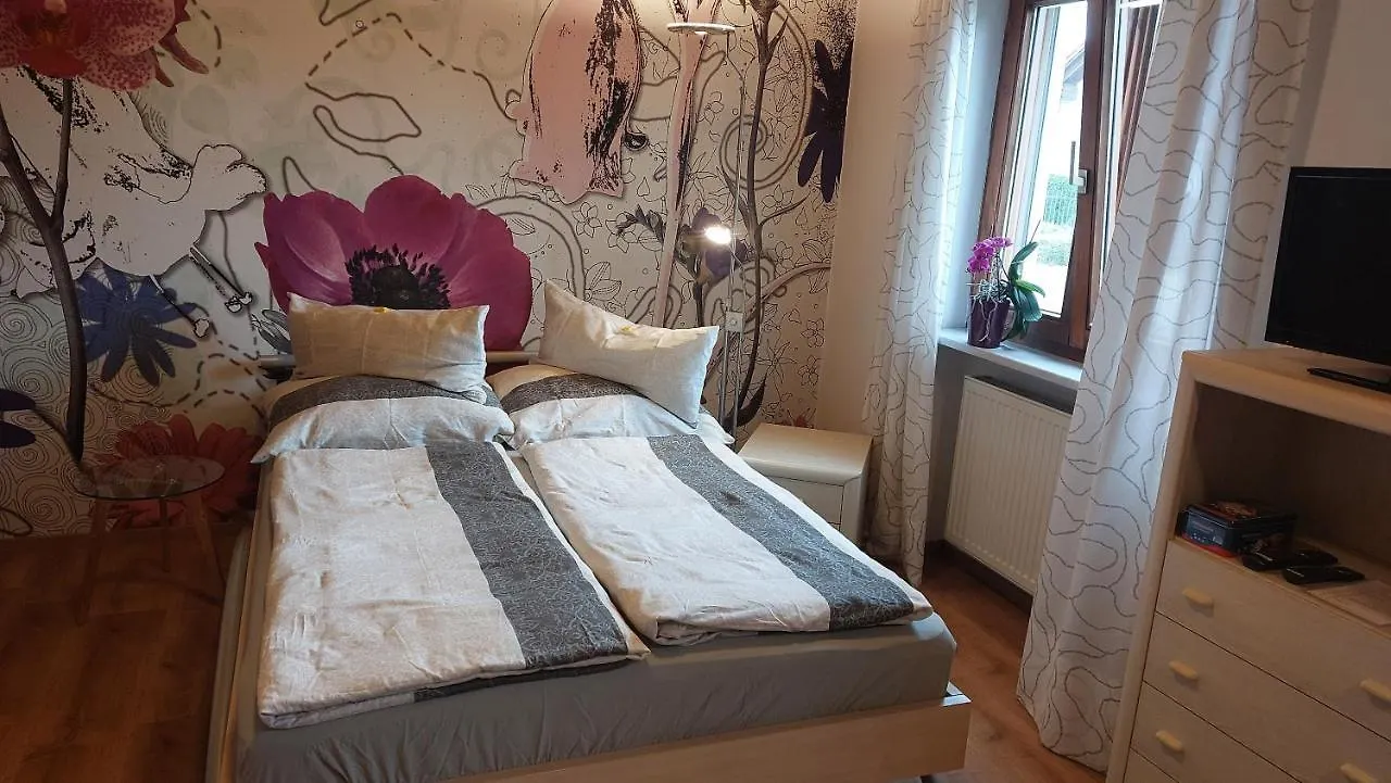 Apartment Ferienwohnung Tegernheim